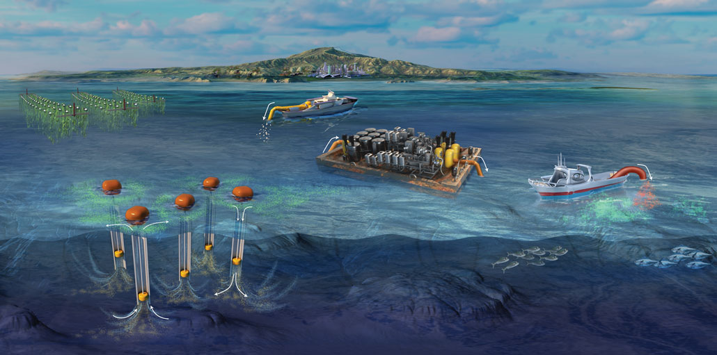 An illustration of an ocean expanse with an island in the background and different forms of ocean carbon removal in the foreground.