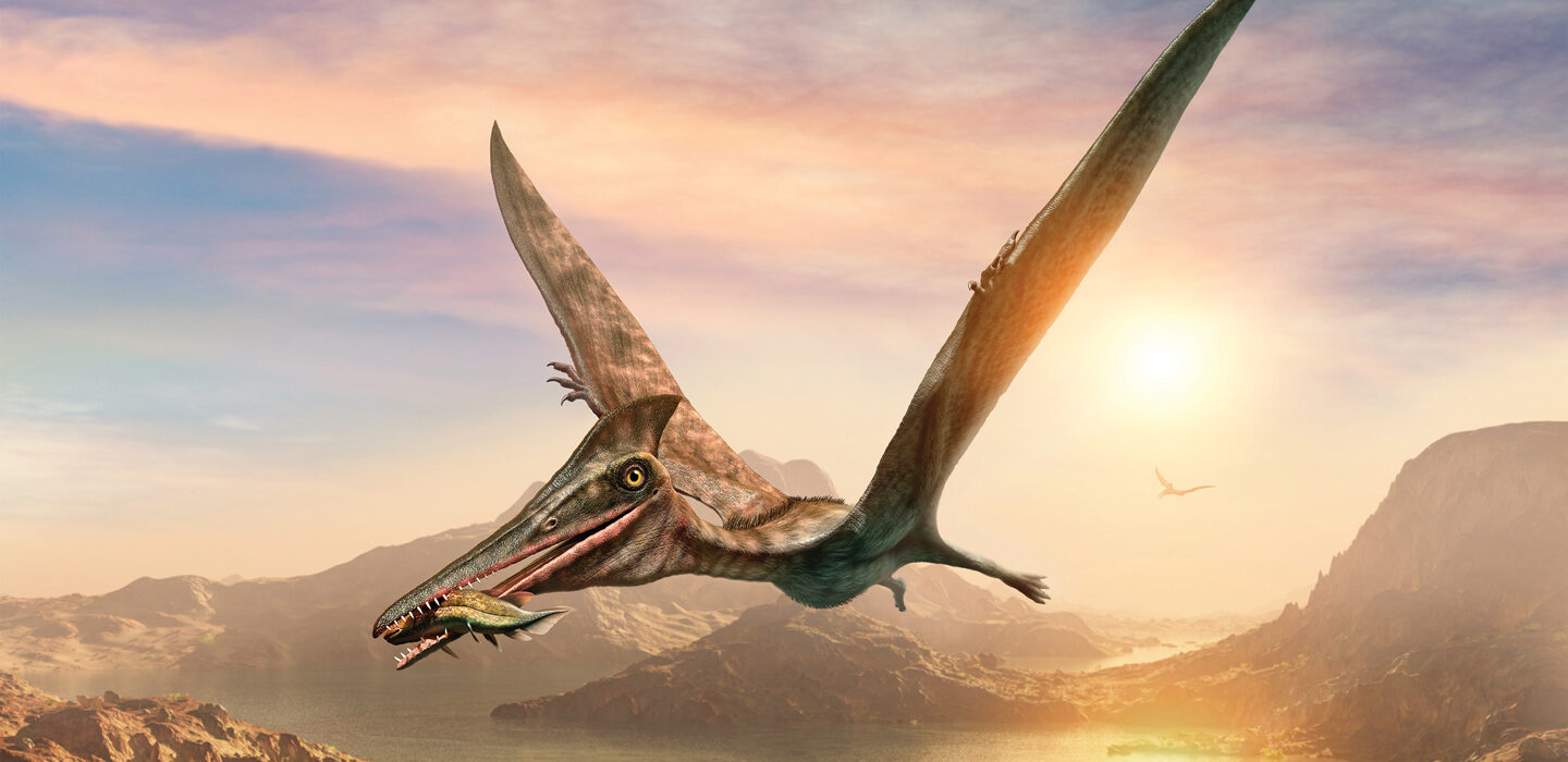 An illustration of a pterosaur flying over rocky terrain with mountains, a body of water and the sun in the background.