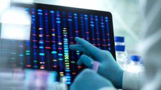 DNA sequence on a monitor