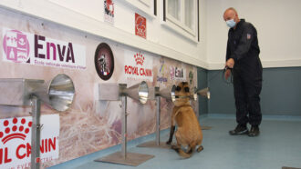 a photo of a dog in front of a cone connected to a box, with her handler