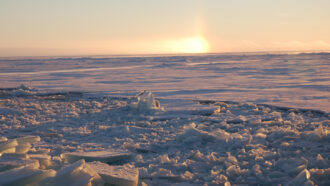 A landscape shot of the Last Ice Area, with the sun setting or rising over ice