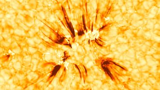 111319_cc_sun-spicule_feat.jpg