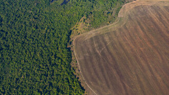 an aerial view of a large swath of rainforest that has been cleared away leaving bare ground