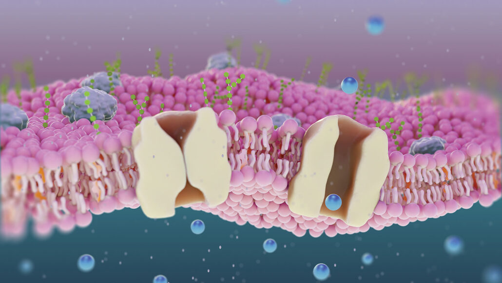 an illustration of how ions move through a cell membrane to create electric current