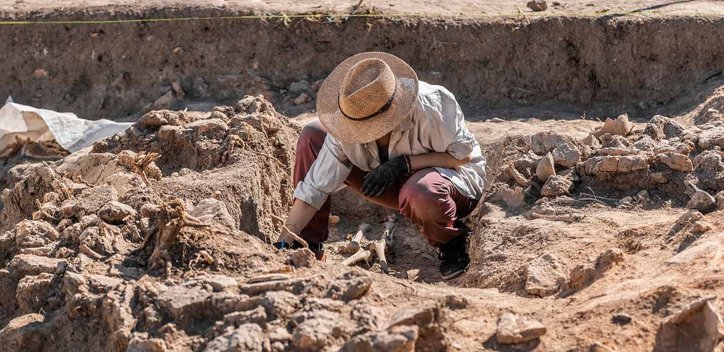 an anthropologist in the field bends over a skeleton being excavated from the ground