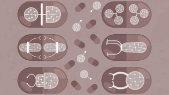 an illustration of various pills with various nanorobots inside each pill