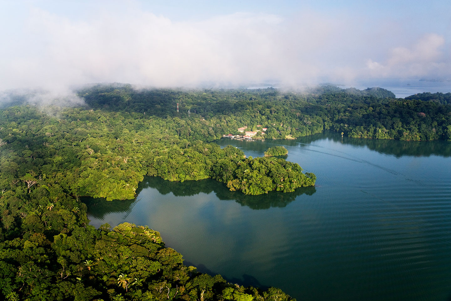 an aerial image showing the island of Barro Colorado 