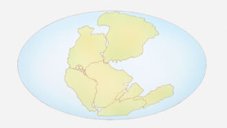 a map of the globe shows several landmasses that look similar to today's continents smushed together into one large landmass surrounded by ocean