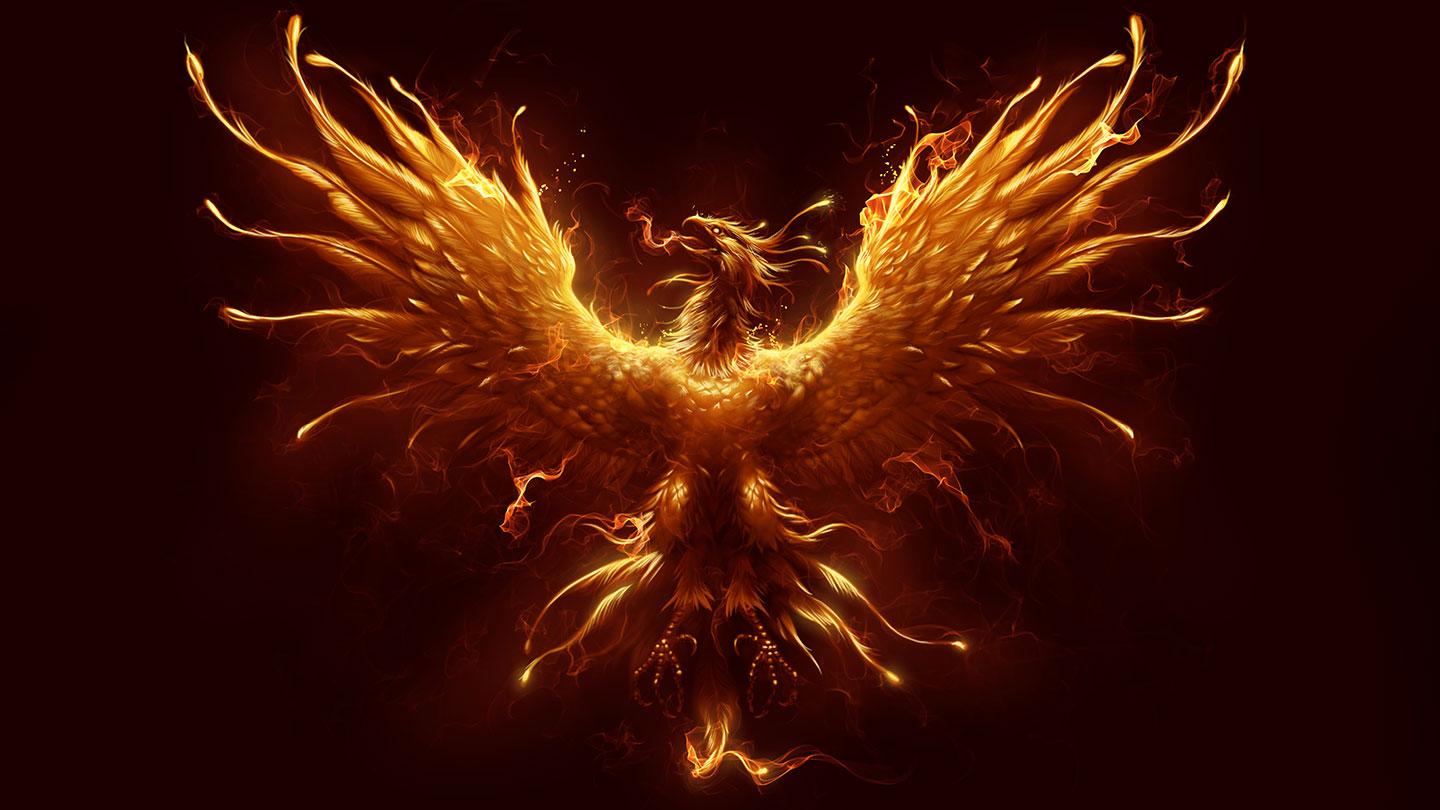 An illustrated orange and red phoenix spreads its wings against a black background. A wisp of flame emerges from its mouth. A small fire smolders below it.