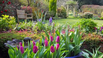 a photo of an English garden with a wide variety of flowers in bloom