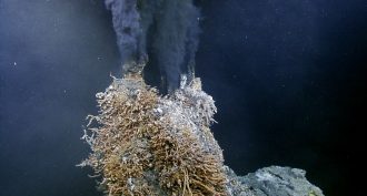 Hydrothermal vent