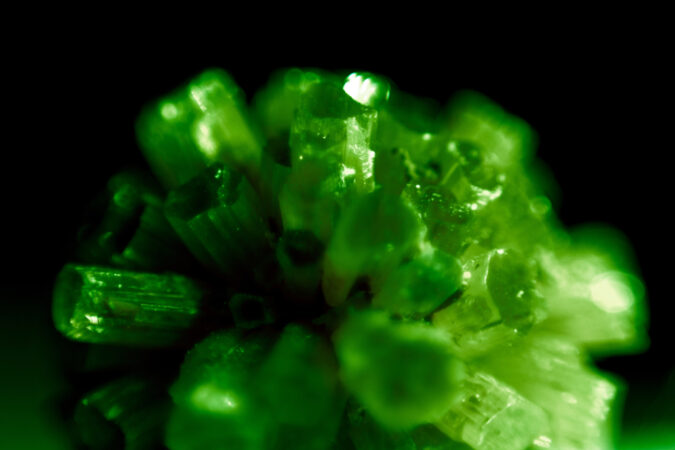 Elongated stalks of green crystal protrude against a black background.