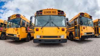 a photo of school buses lined up in a parking lot