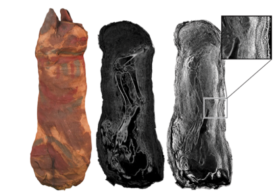 An image showing the different kinds of scans taken of a mummified cat from ancient Egypt. The image on the left is a photo of the cat, the scan in the middle was taken by x-ray and the scan on the left was taken with neutron imaging. There is an inset showing details of the cloth wrappings.