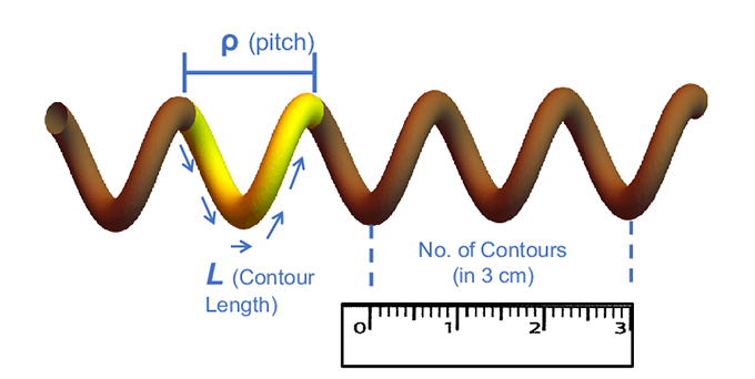 a diagram showing how Gaines's group classifies hair curls