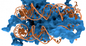 nucleosome2