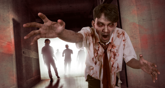 860_TF_Zombie_Decay.png