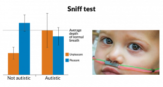 Unlike kids without autism, those with the disorder breathe in just about as deeply whether they’re smelling unpleasant odors like sour milk or pleasant ones such as roses, a new study suggests. Researchers delivered scents via tubes hooked up to a chil